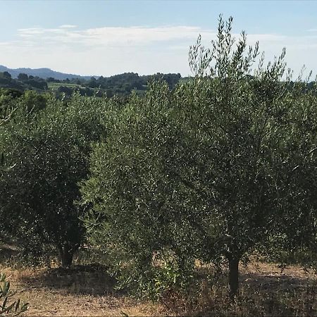 Gite Au Coeur Du Pays Cathare Verzeille Kültér fotó