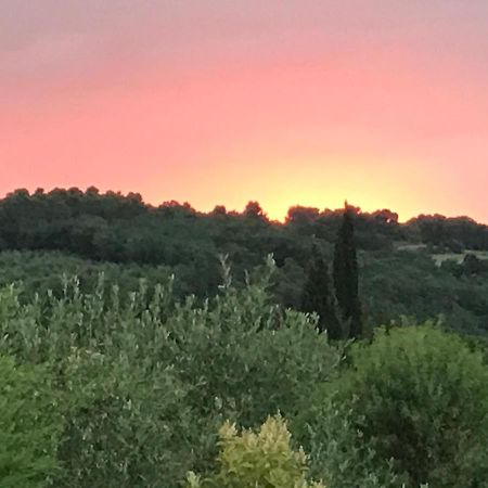 Gite Au Coeur Du Pays Cathare Verzeille Kültér fotó