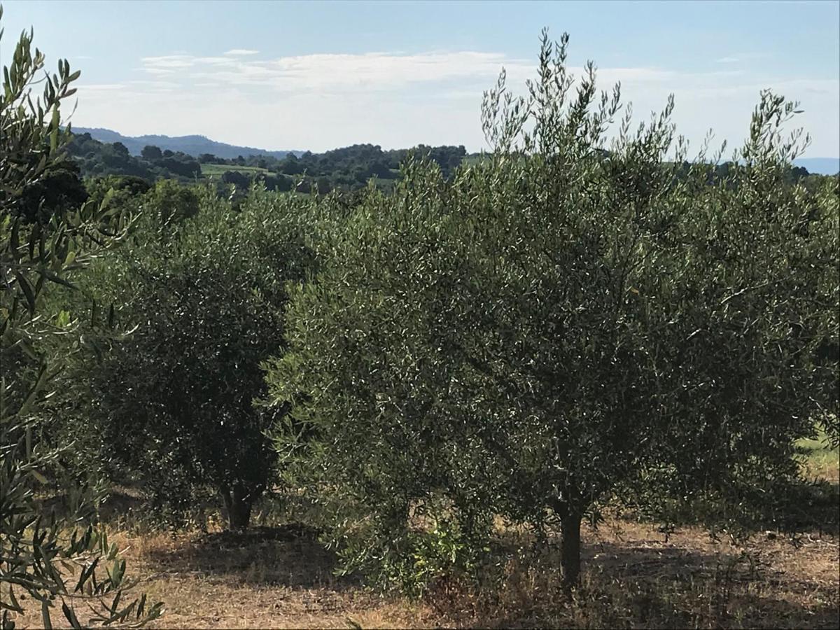 Gite Au Coeur Du Pays Cathare Verzeille Kültér fotó